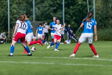 Bild 315 - wBJ Hamburger SV - Holstein Kiel : Ergebnis: 2:0